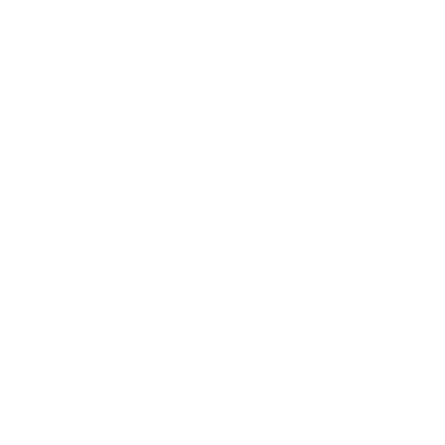 SeoLocalNet